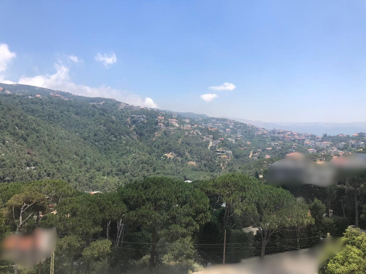 Mar Chaaya